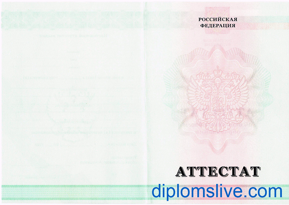 Аттестат 9 классов 2010-2013 год фото