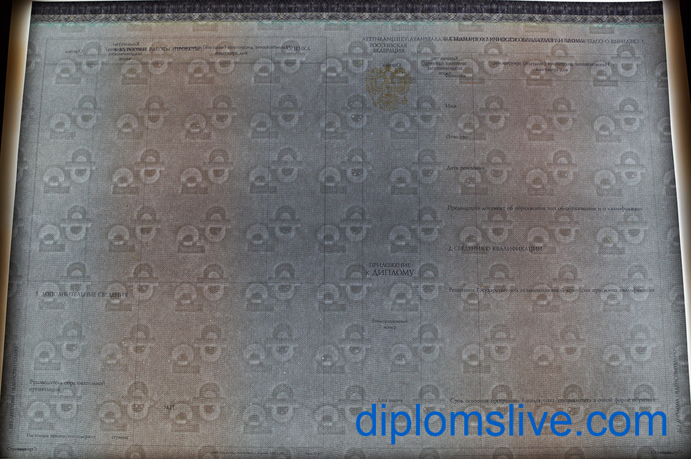 Диплом бакалавра 2014-2019 год фото Киржач
